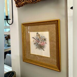 Bombay company Siberian Rose Finch